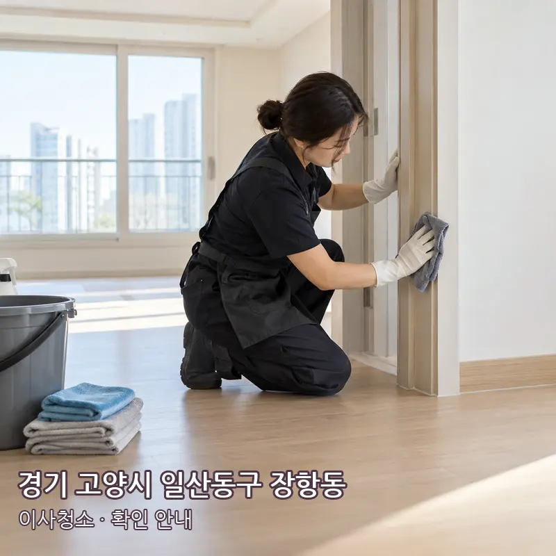 경기 고양시 일산동구 장항동 이사청소 작업 범위 예시 이미지